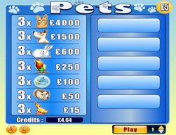 Bingo Games