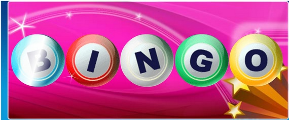 Bingo Mega